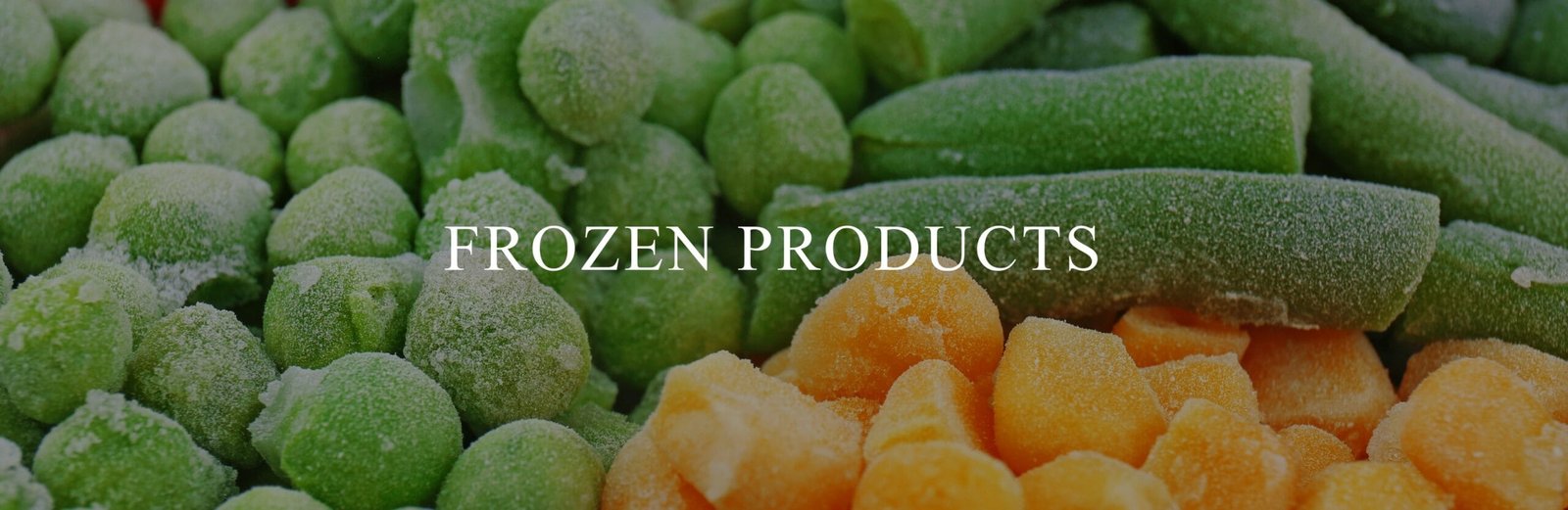 Frozen Products Import Export From India