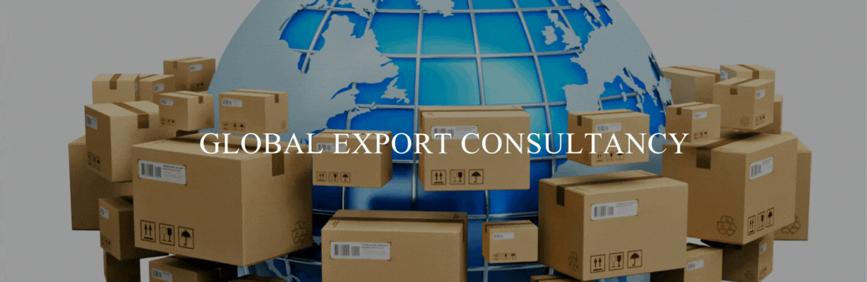 B2B Import Export Services