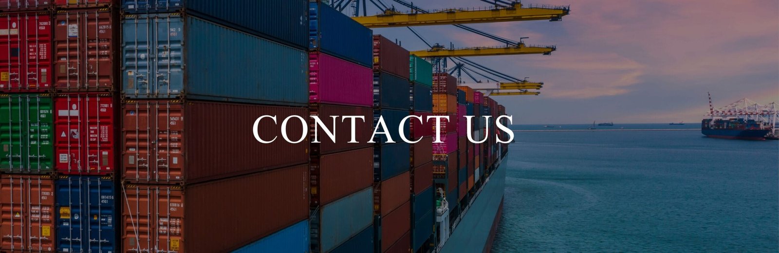CONTACT US